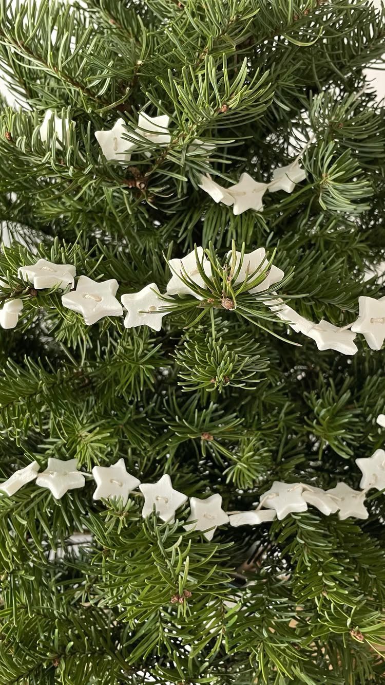 White clay star garland draped over the green branches of a Christmas tree.