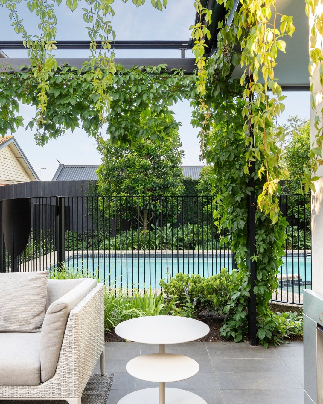 Green climbing vines growing over a black metal pergola overlooking a swimming pool and patio.