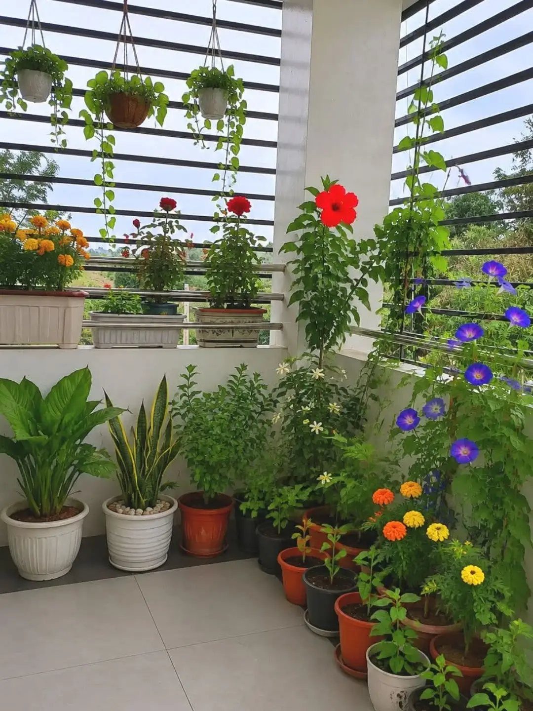 Decorating a Patio: 10 Ideas for a Space You Actually Use 2 Various potted plants and hanging greenery arranged along a balcony railing and floor.