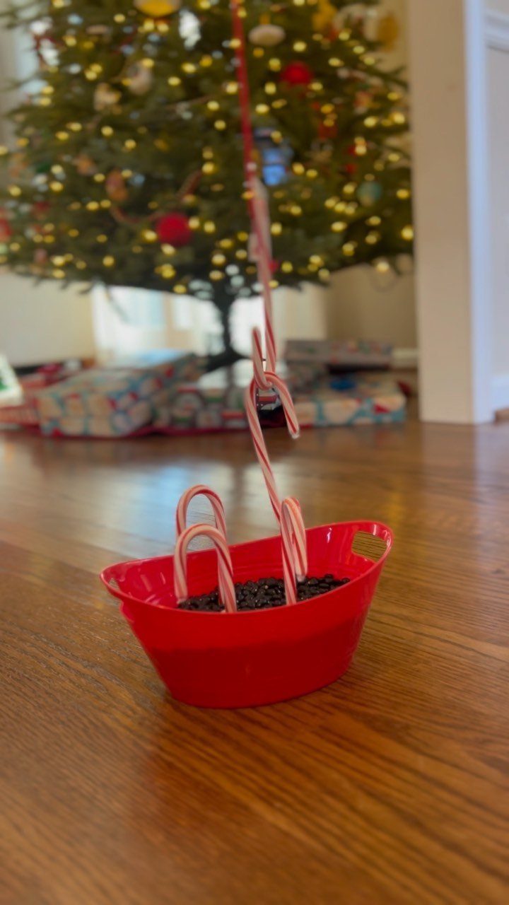 Fun Christmas Activities for Families: 18 Ideas With Photos 12 Candy canes hanging from a red string over a small red bowl on a wooden floor.