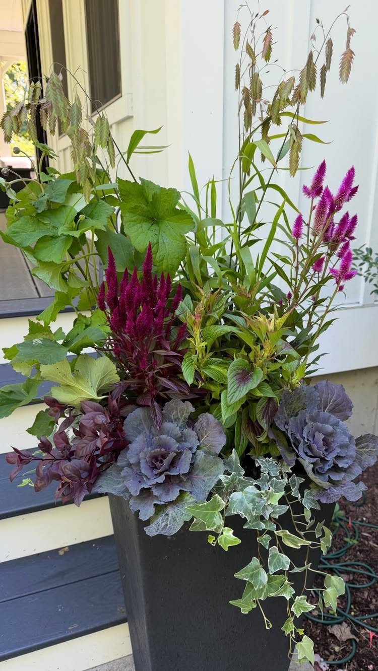 A black planter filled with purple cabbage, magenta celosia, and trailing ivy on porch steps.