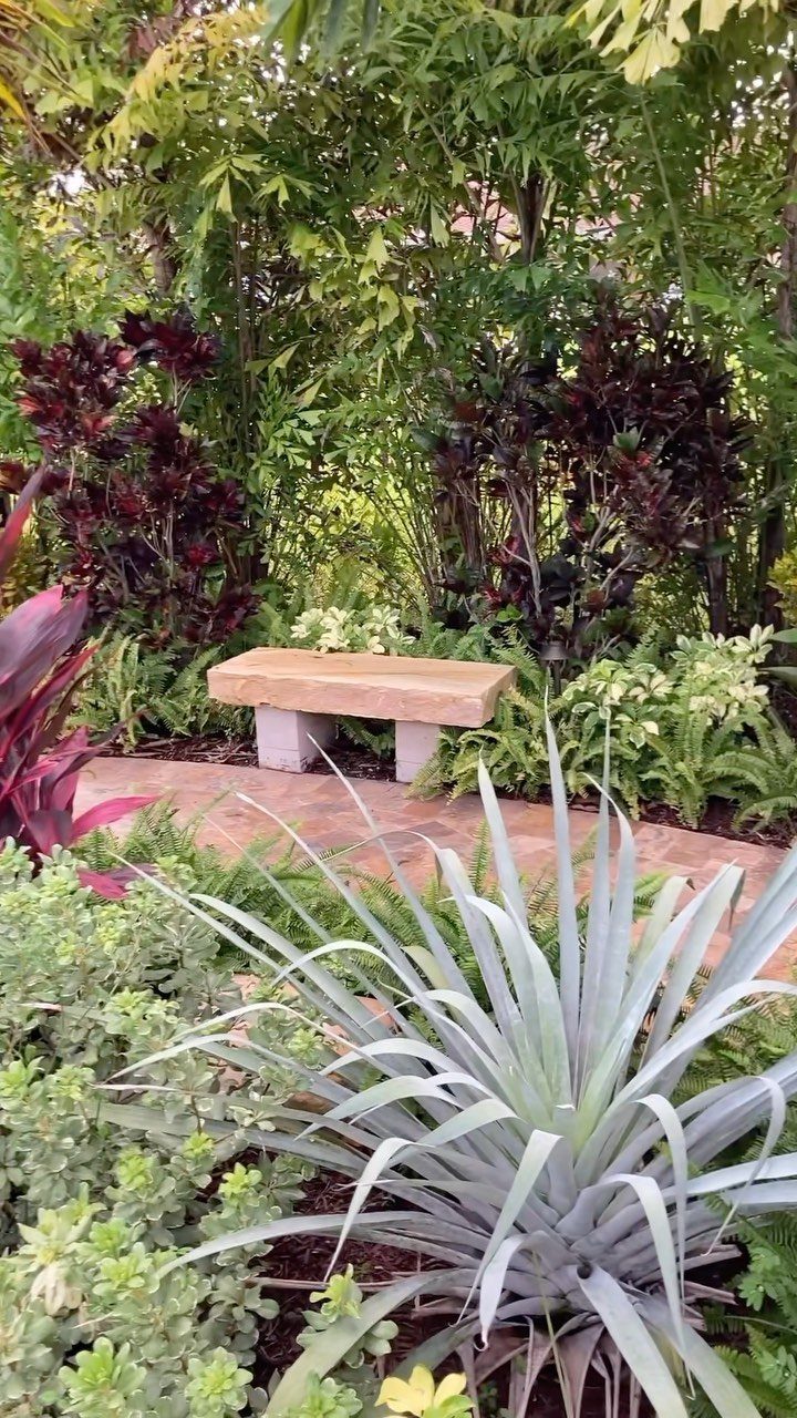 Diverse garden plants with burgundy, green, and silvery-blue foliage surrounding a stone bench.