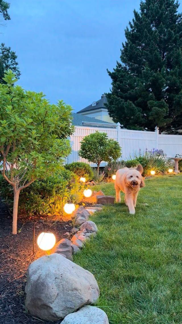Spherical orb lights glowing along a stone border in a lush green backyard garden at dusk.