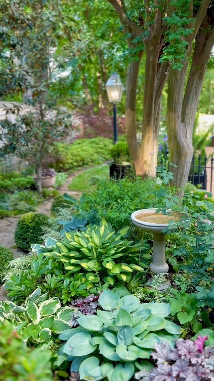Lush green hostas and shade plants surround a stone birdbath in a shaded garden.